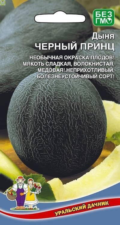 Купить оптом в Ботанике семена Дыня Черный принц УД бренд Уральский дачник