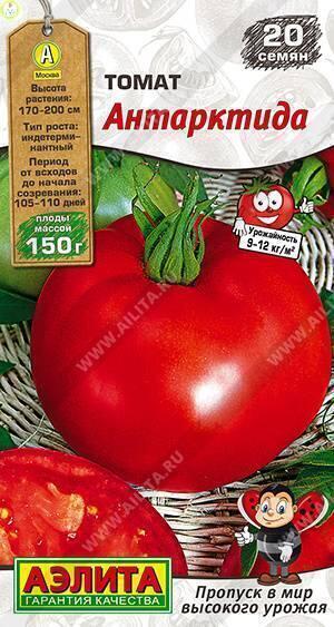 Купить оптом в Ботанике семена Томат Антарктида Аэл бренд Аэлита
