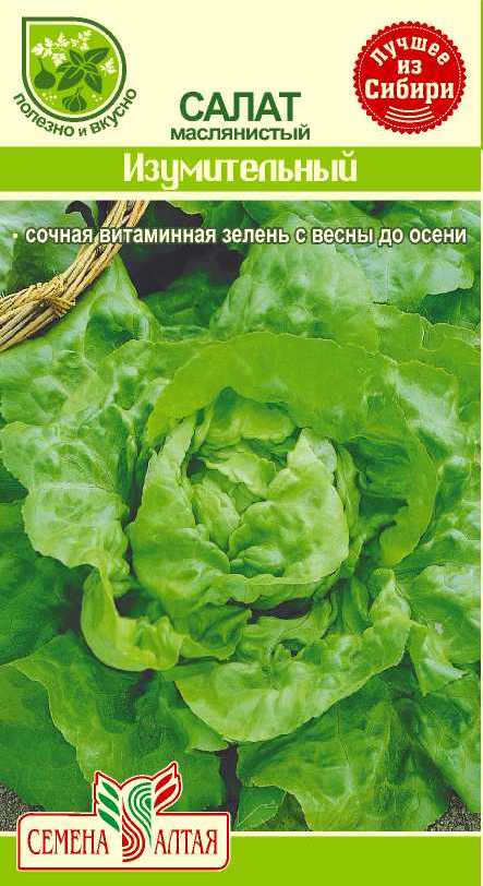 Купить оптом в Ботанике семена Салат Маслянистый изумительный СА бренд Семена Алтая
