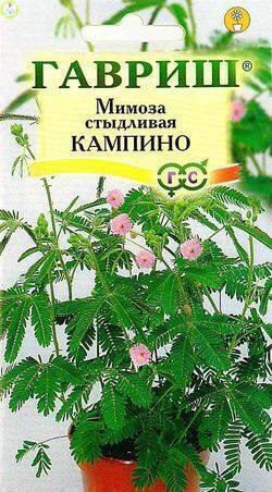 Купить оптом в Ботанике семена Мимоза стыдливая Кампина Гав бренд Гавриш