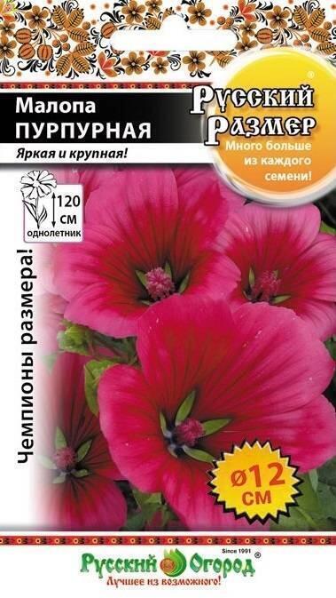 Купить оптом в Ботанике семена Малопа Русский размер пурпурная НК бренд НК