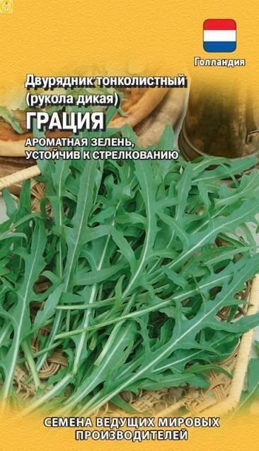 Купить оптом в Ботанике семена Рукола Грация (двурядник) Гав бренд Гавриш