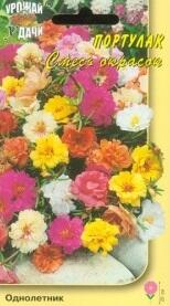 Купить оптом в Ботанике семена Портулак Смесь окрасок УУ бренд Урожай Удачи