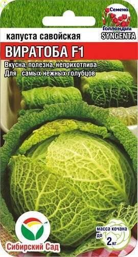 Купить оптом в Ботанике семена Капуста савойская Виратоба F1 CC бренд Сиб.сад