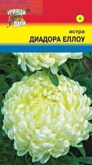 Купить оптом в Ботанике семена Астра Диадора еллоу УУ бренд Урожай Удачи