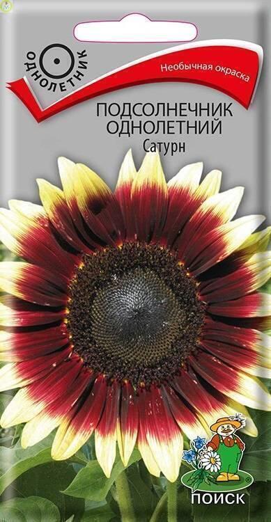 Купить оптом в Ботанике семена Подсолнечник декор. Сатурн Поиск бренд Поиск