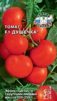 Купить оптом в Ботанике семена Томат Душечка F1 Сед бренд СеДеК