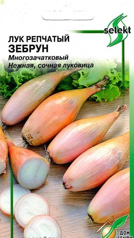 Купить оптом в Ботанике семена Лук репчатый Зебрун многозачатковый ССО бренд Сортсемовощ