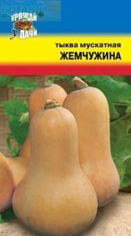 Купить оптом в Ботанике семена Тыква Жемчужина мускатная УУ бренд Урожай Удачи