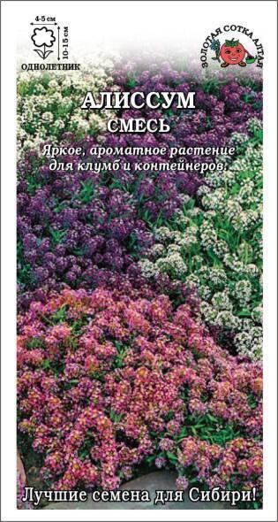 Купить оптом в Ботанике семена Алиссум смесь ЗС бренд Золотая сотка