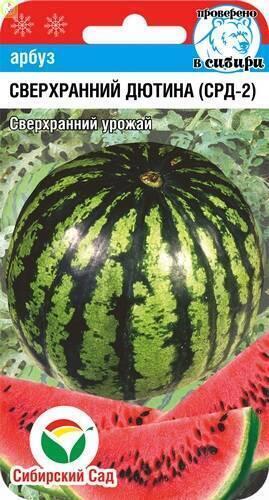 Купить оптом в Ботанике семена Арбуз Сверхранний Дютина (СРД-2) СС бренд Сиб.сад