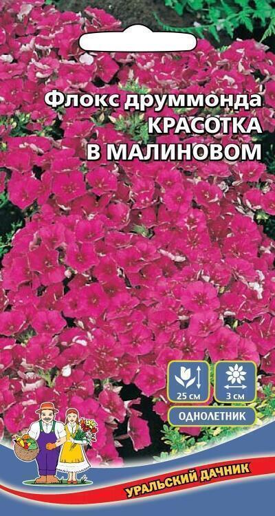 Купить оптом в Ботанике семена Флокс Красотка в малиновом УД бренд Уральский дачник