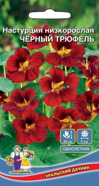 Купить оптом в Ботанике семена Настурция Черный трюфель УД бренд Уральский дачник