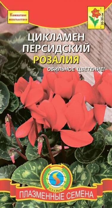 Купить оптом в Ботанике семена Цикламен Розалия персидский Плз бренд Плазмас