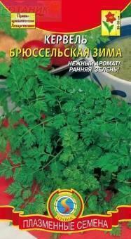 Купить оптом в Ботанике семена Кервель Брюссельская зима Плз бренд Плазмас