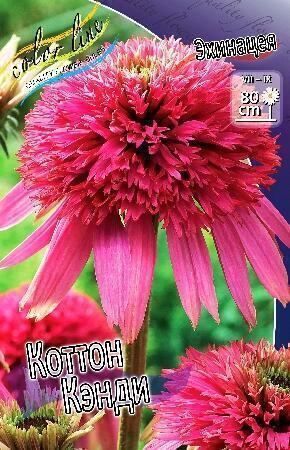 Купить оптом в Ботанике Эхинацея Коттон Кенди 1 шт