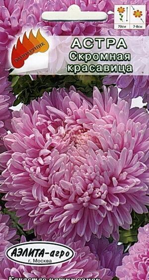 Купить оптом в Ботанике семена Астра Дюшес скромная красавица Аэл бренд Аэлита