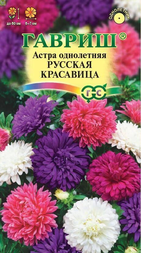 Купить оптом в Ботанике семена Астра Русская красавица смесь Гав бренд Гавриш