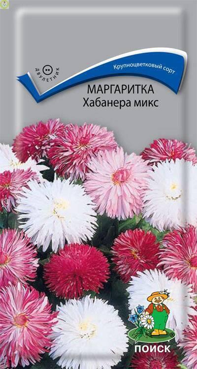 Купить оптом в Ботанике семена Маргаритка Хабанера микс Поиск бренд Поиск