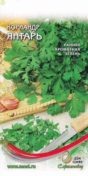 Купить оптом в Ботанике семена Кориандр Янтарь ССО бренд Сортсемовощ