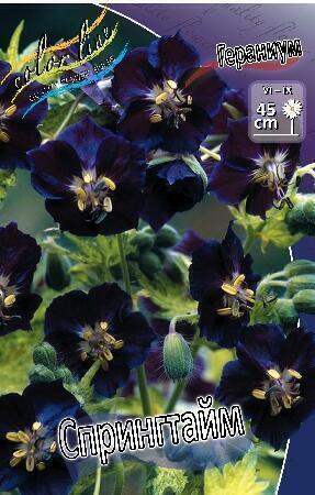 Купить оптом в Ботанике Гераниум Спрингтайм 1 шт