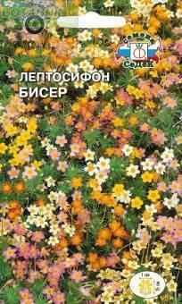 Купить оптом в Ботанике семена Лептосифон Бисер гибридный Сед бренд СеДеК