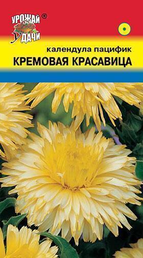 Купить оптом в Ботанике семена Календула Красавица кремово-белая УУ бренд Урожай Удачи