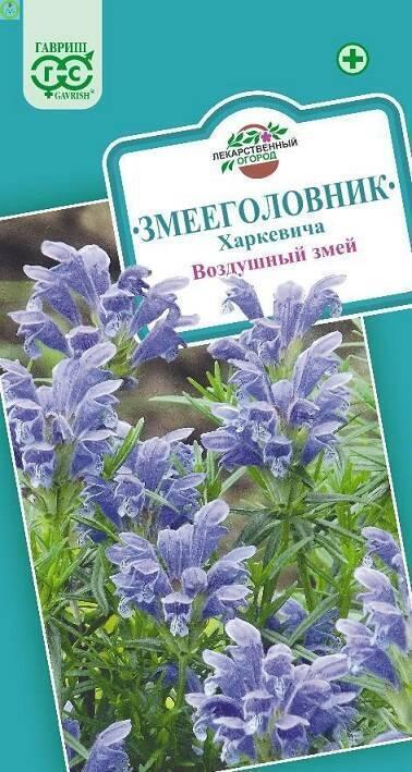Купить оптом в Ботанике семена Змееголовник Воздушный змей Харкевича Гав бренд Гавриш