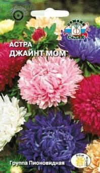 Купить оптом в Ботанике семена Астра Джайнт Мом смесь Сед бренд СеДеК