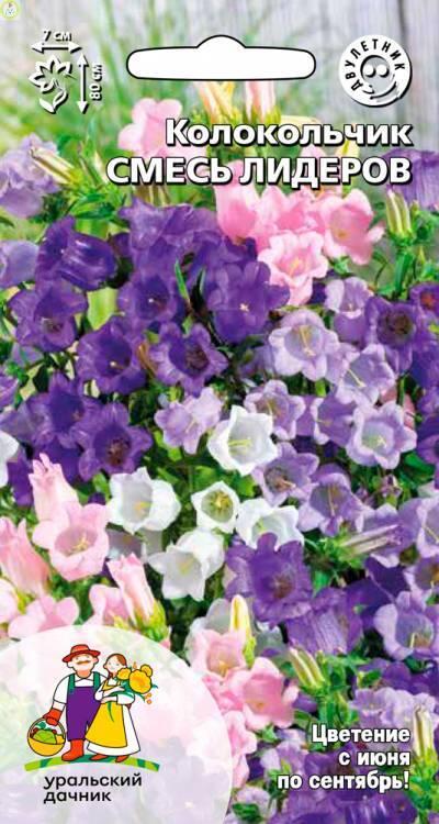 Купить оптом в Ботанике семена Колокольчик Смесь лидеров УД бренд Уральский дачник