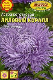 Купить оптом в Ботанике семена Астра Коралл лиловый Аэл бренд Аэлита