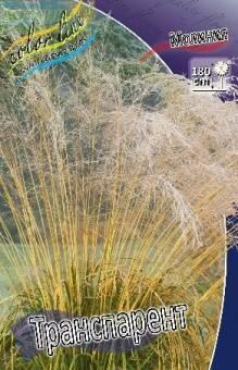 Купить оптом в Ботанике Молиния Транспарент 2 шт