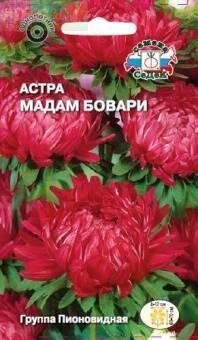 Купить оптом в Ботанике семена Астра Мадам Бовари Сед бренд СеДеК