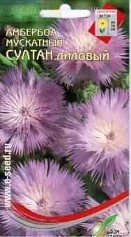 Купить оптом в Ботанике семена Амбербоа мускатный Султан лиловый ССО бренд Сортсемовощ
