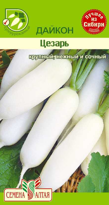 Купить оптом в Ботанике семена Дайкон Цезарь СА бренд Семена Алтая