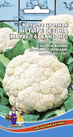 Купить оптом в Ботанике семена Капуста цветная Четыре сезона УД бренд Уральский дачник