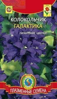 Купить оптом в Ботанике семена Колокольчик Галактика Плз бренд Плазмас