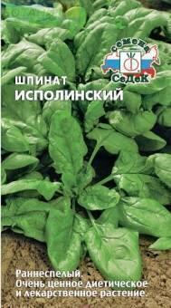 Купить оптом в Ботанике семена Шпинат Исполинский Сед бренд СеДеК