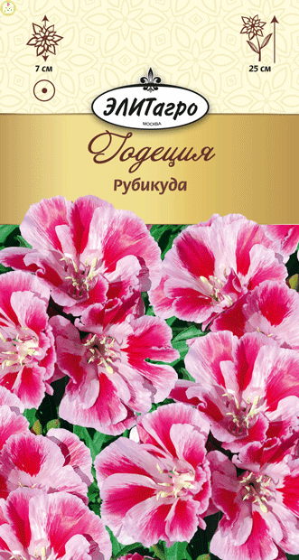 Купить оптом в Ботанике семена Годеция Рубикуда Аэл бренд Аэлита