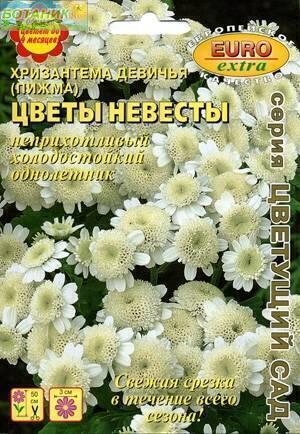 Купить оптом в Ботанике семена Хризантема Цветы невесты девичья Аэл бренд Аэлита