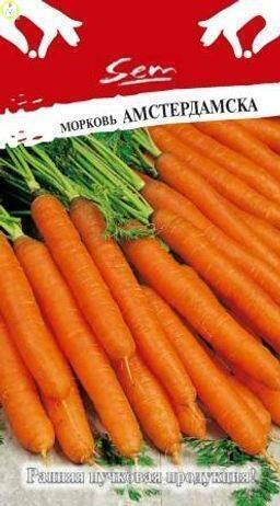 Купить оптом в Ботанике семена Морковь Амстердамска НК бренд НК