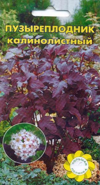 Купить оптом в Ботанике семена Пузыреплодник УУ бренд Урожай Удачи