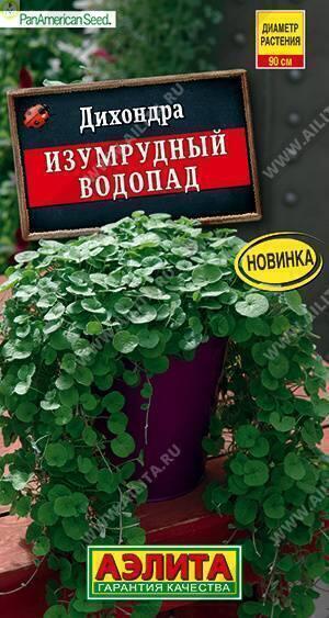 Купить оптом в Ботанике семена Дихондра Изумрудный водопад Аэл бренд Аэлита