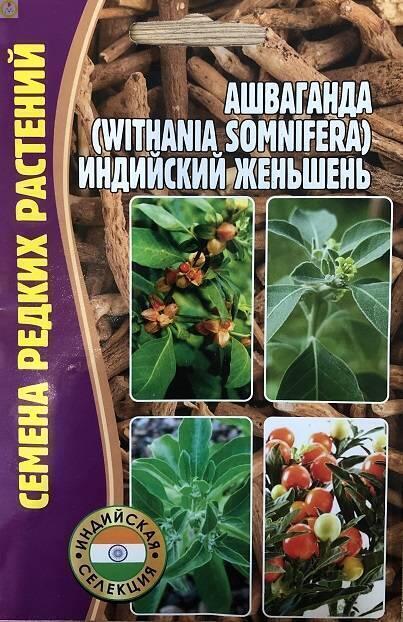 Купить оптом в Ботанике семена Ашваганда индийский женьшень Реш бренд Решение, ООО