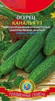 Купить оптом в Ботанике семена Огурец Каналья F1 Плз бренд Плазмас