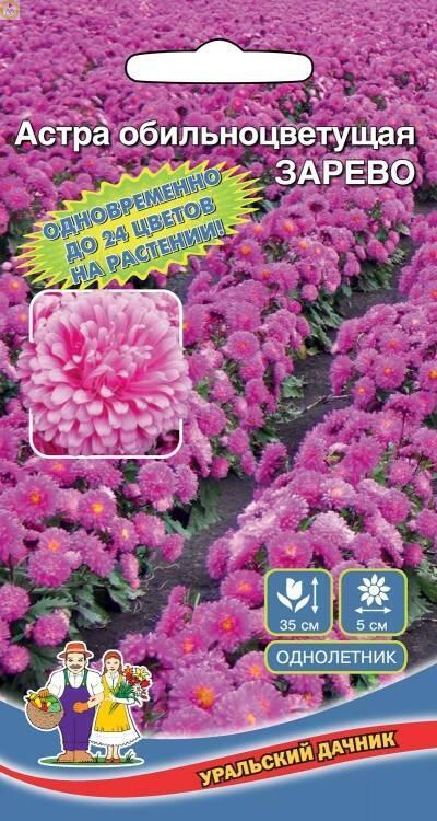 Купить оптом в Ботанике семена Астра Зарево УД бренд Уральский дачник