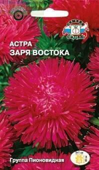 Купить оптом в Ботанике семена Астра Заря Востока Сед бренд СеДеК