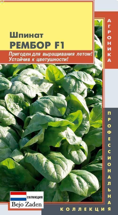 Купить оптом в Ботанике семена Шпинат Рембор F1 Плз бренд Плазмас