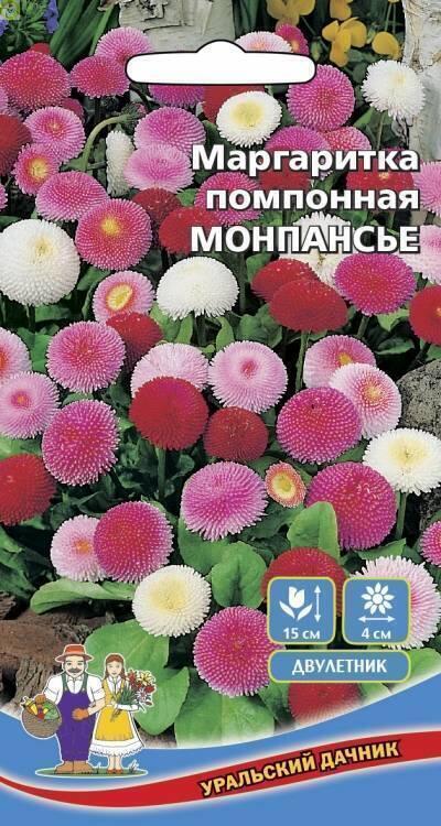 Купить оптом в Ботанике семена Маргаритка Монпасье УД бренд Уральский дачник
