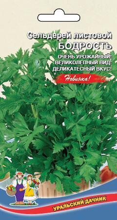 Купить оптом в Ботанике семена Сельдерей Бодрость УД бренд Уральский дачник